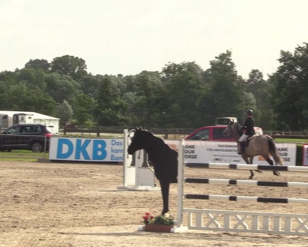 Reitturnier Neustadt/Dosse 2023