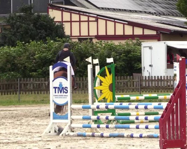 Reitturnier Schülp / Rendsburg 2023