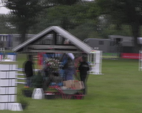 Reitturnier Ihleburg 2023
