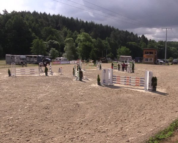 Reitturnier Bad Liebenstein/Sorga 2023
