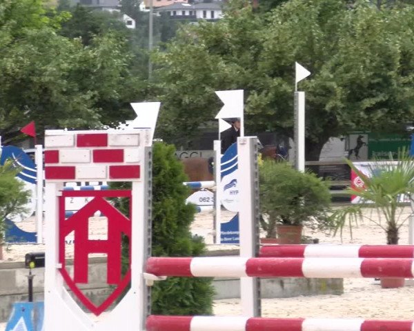 Reitturnier Balsthal 2023