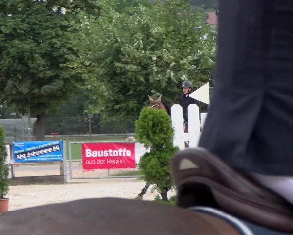 Reitturnier Balsthal 2023