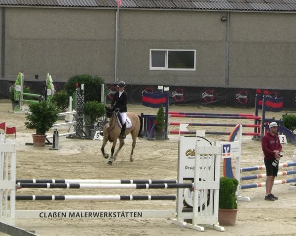 Reitturnier Kalenborn Hegehof 2023