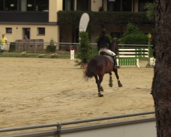 Reitturnier Sonsbeck 2023