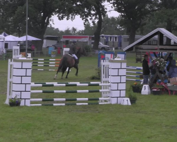 Reitturnier Ihleburg 2023
