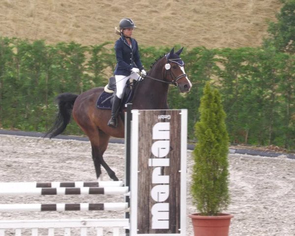 Reitturnier Margarethenhof /Beckingen 2023