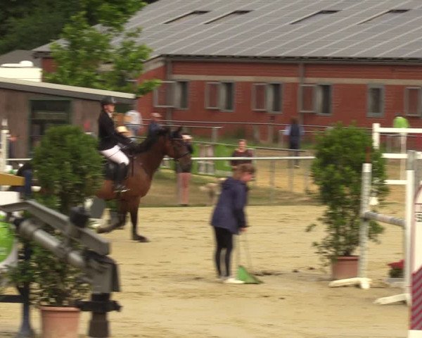 Reitturnier Sonsbeck 2023