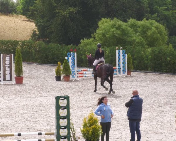 Reitturnier Margarethenhof /Beckingen 2023