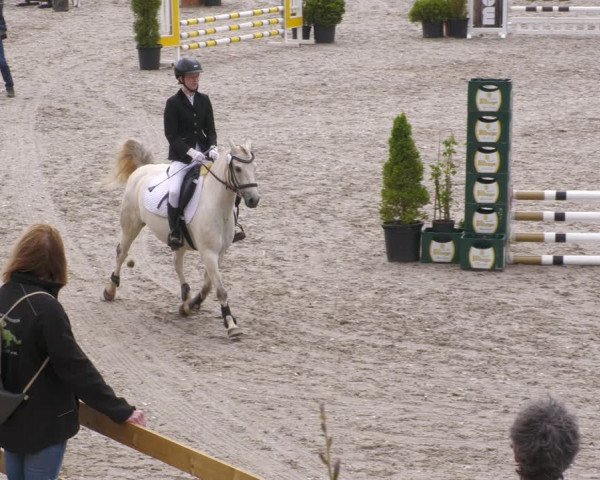 Reitturnier Margarethenhof /Beckingen 2023