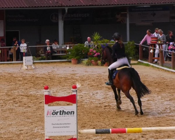 Reitturnier Uder, Reitanlage Kobold 2023