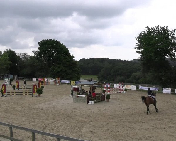 Reitturnier Kalenborn Hegehof 2023