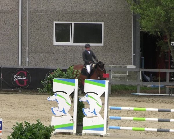 Reitturnier Kalenborn Hegehof 2023