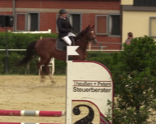 Reitturnier Sonsbeck 2023