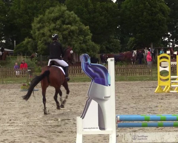 Reitturnier Schülp / Rendsburg 2023