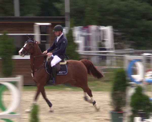 Reitturnier Bad Liebenstein/Sorga 2023