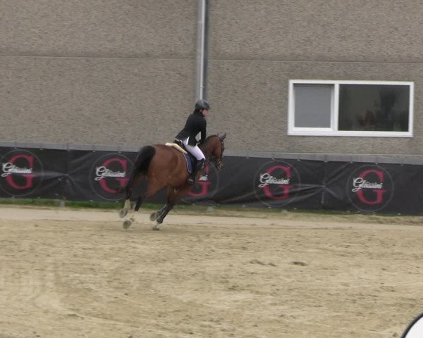 Reitturnier Kalenborn Hegehof 2023