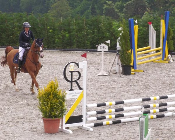 Reitturnier Margarethenhof /Beckingen 2023