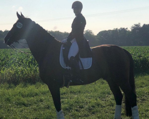 Schürmann Lea-Sophie