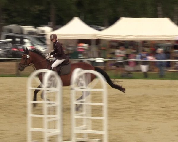 Reitturnier Sonsbeck 2023