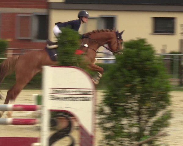 Reitturnier Sonsbeck 2023