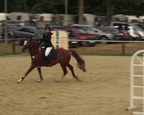 Reitturnier Sonsbeck 2023