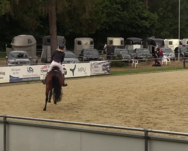 Reitturnier Sonsbeck 2023