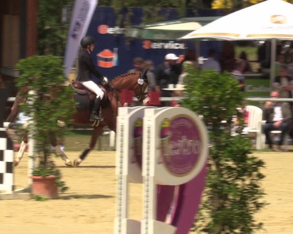 Reitturnier Sonsbeck 2023