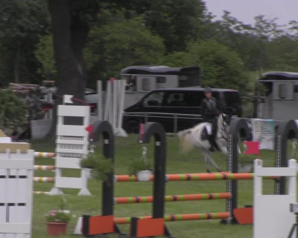 Reitturnier Ihleburg 2023