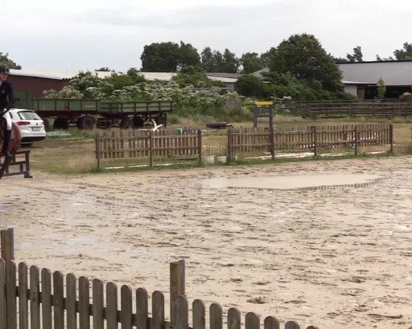 Reitturnier Schülp / Rendsburg 2023