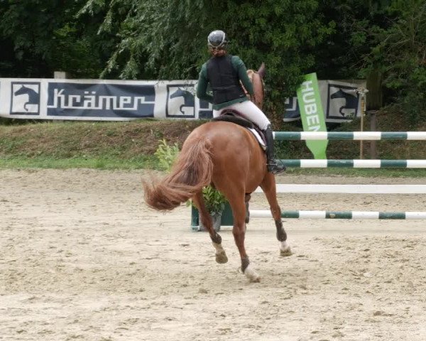 Reitturnier Walldorf/Winterheck PSG 2023