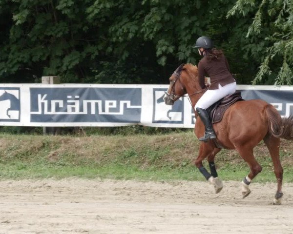 Reitturnier Walldorf/Winterheck PSG 2023