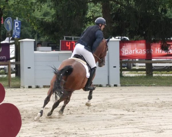 Reitturnier Walldorf/Winterheck PSG 2023