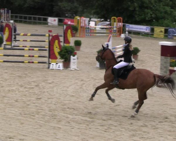 Reitturnier Kalenborn Hegehof 2023
