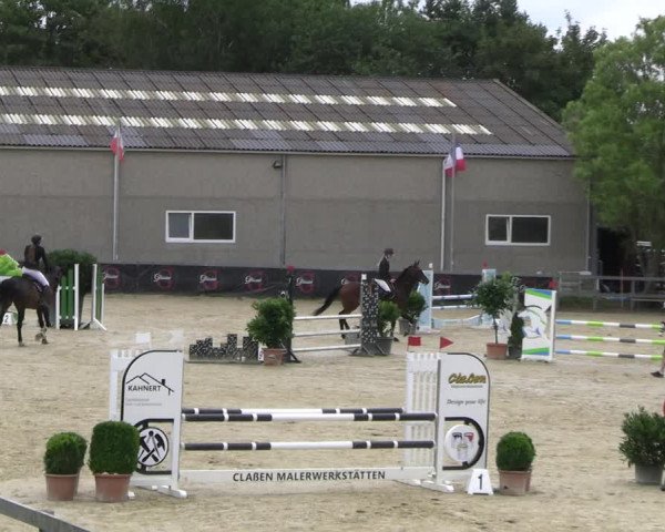 Reitturnier Kalenborn Hegehof 2023