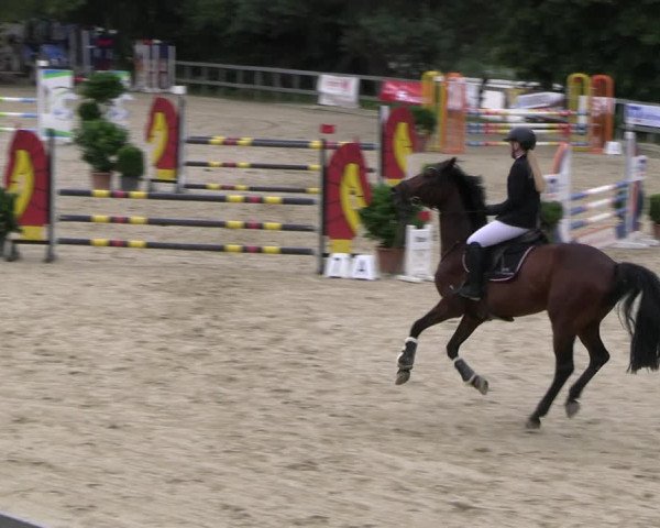 Reitturnier Kalenborn Hegehof 2023