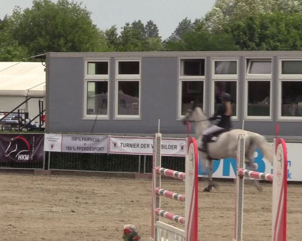 Reitturnier Neustadt/Dosse 2023