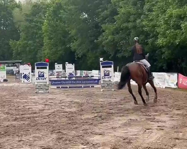 Video of Schätzelein 5