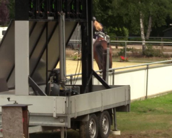 Reitturnier Sonsbeck 2023