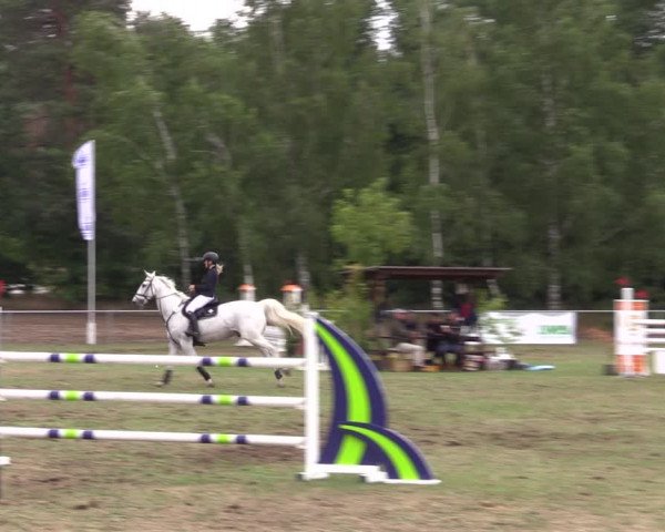 Reitturnier Niederwerbig 2023