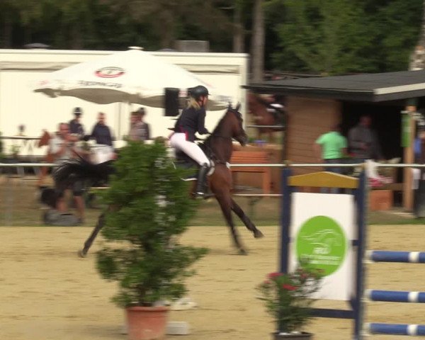 Reitturnier Sonsbeck 2023