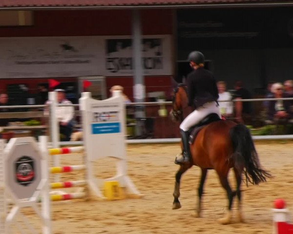Reitturnier Uder, Reitanlage Kobold 2023