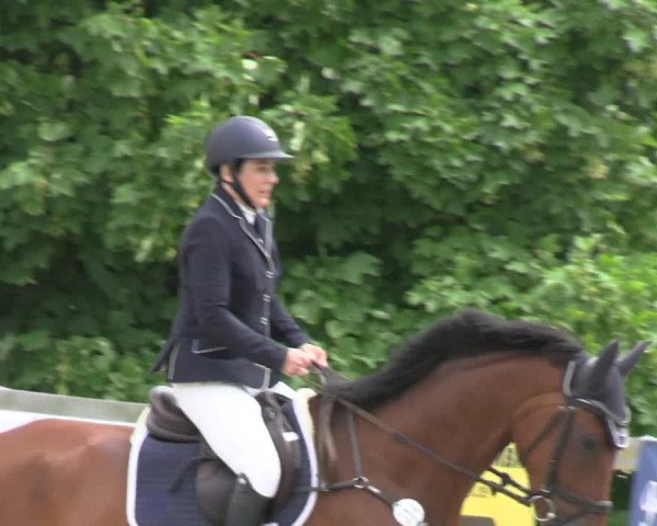 Reitturnier Kalenborn Hegehof 2023
