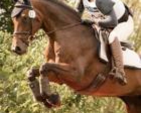 nina-lena Eichentopf