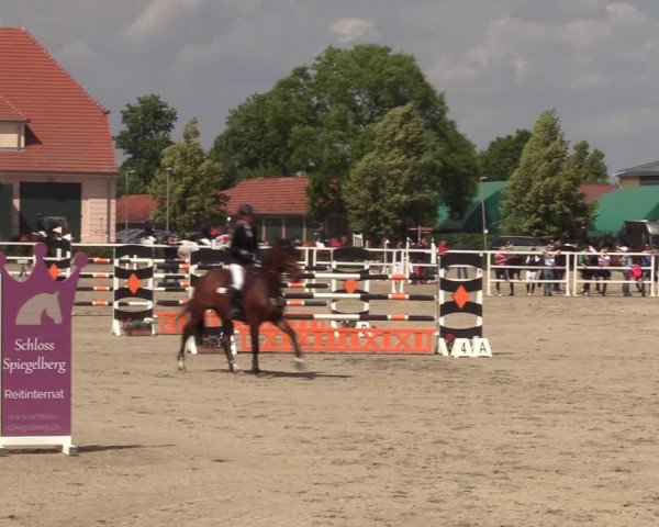 Reitturnier Neustadt/Dosse 2023
