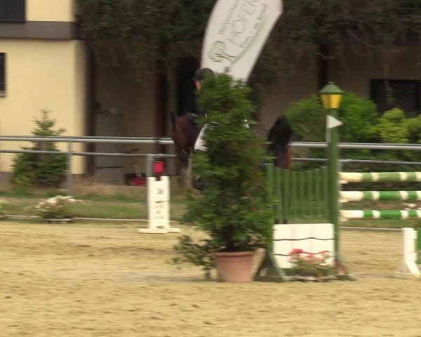 Reitturnier Sonsbeck 2023