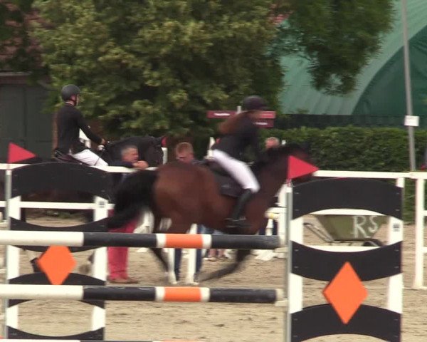 Reitturnier Neustadt/Dosse 2023