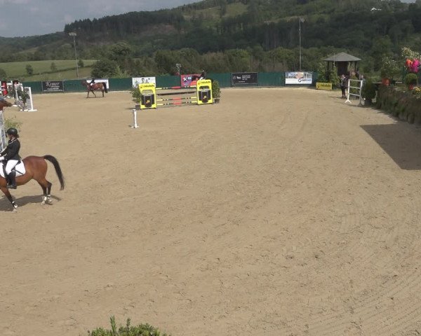 Reitturnier Lindlar-Süttenbach 2023