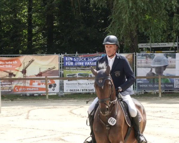 Reitturnier Walldorf/Winterheck PSG 2023