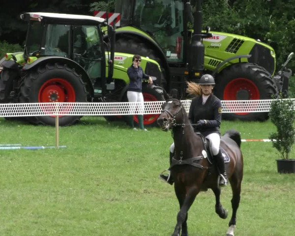 Reitturnier Wolfsburger Klassiker 2023