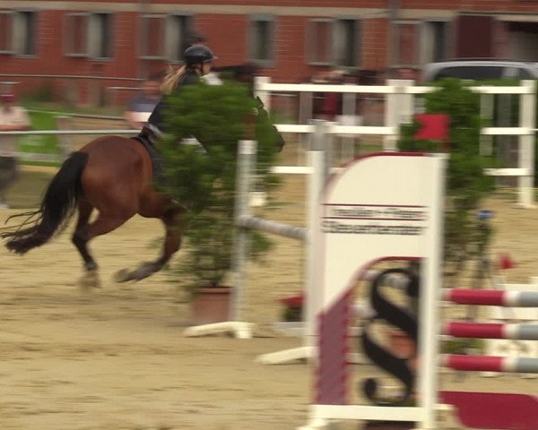 Reitturnier Sonsbeck 2023